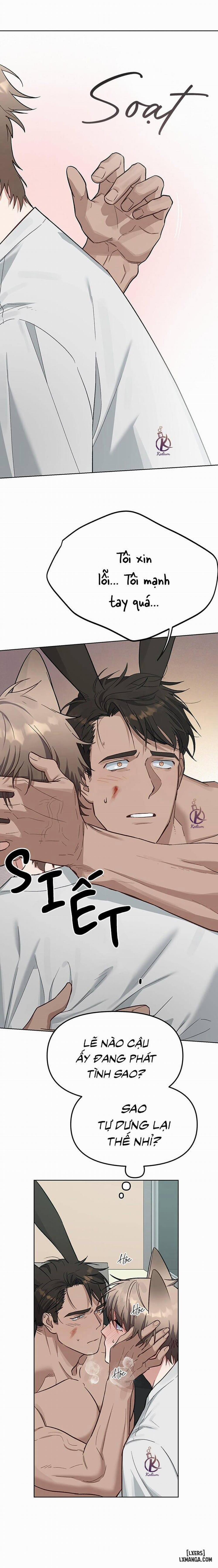 Thỏ 3 giây là bắn 4 trang 12