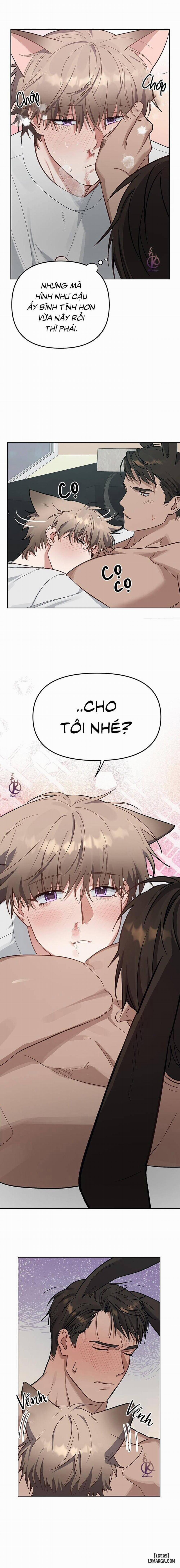 Thỏ 3 giây là bắn 4 trang 13