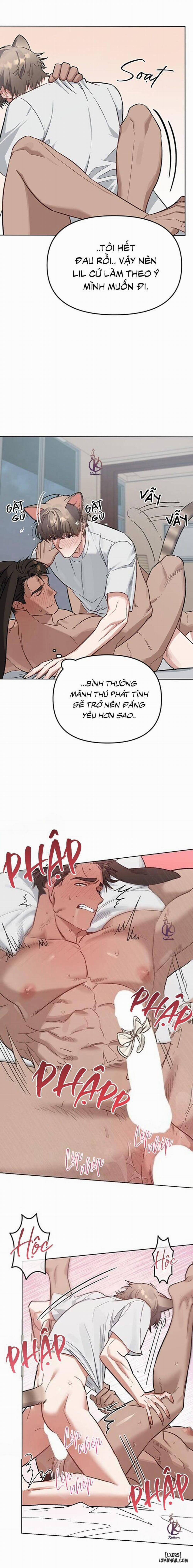 Thỏ 3 giây là bắn 4 trang 14