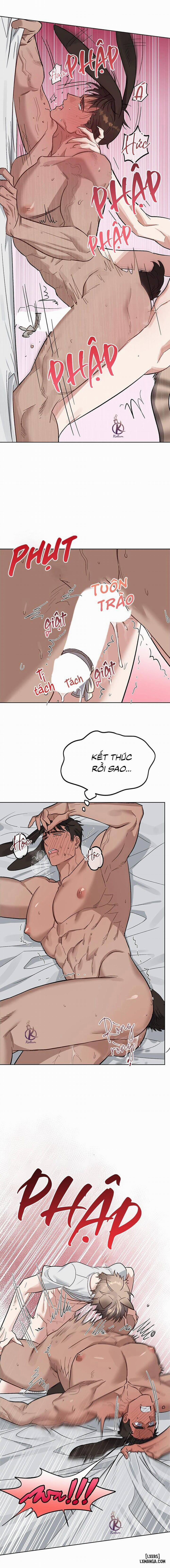 Thỏ 3 giây là bắn 4 trang 15