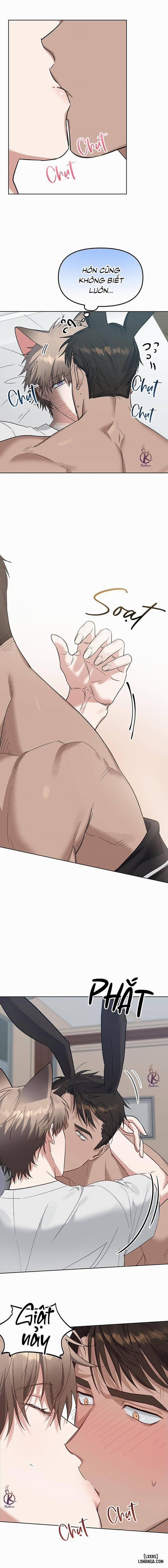 Thỏ 3 giây là bắn 4 trang 2