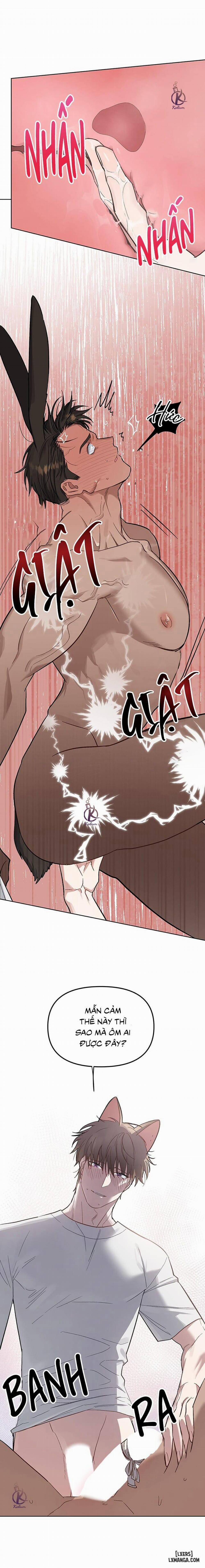 Thỏ 3 giây là bắn 4 trang 7