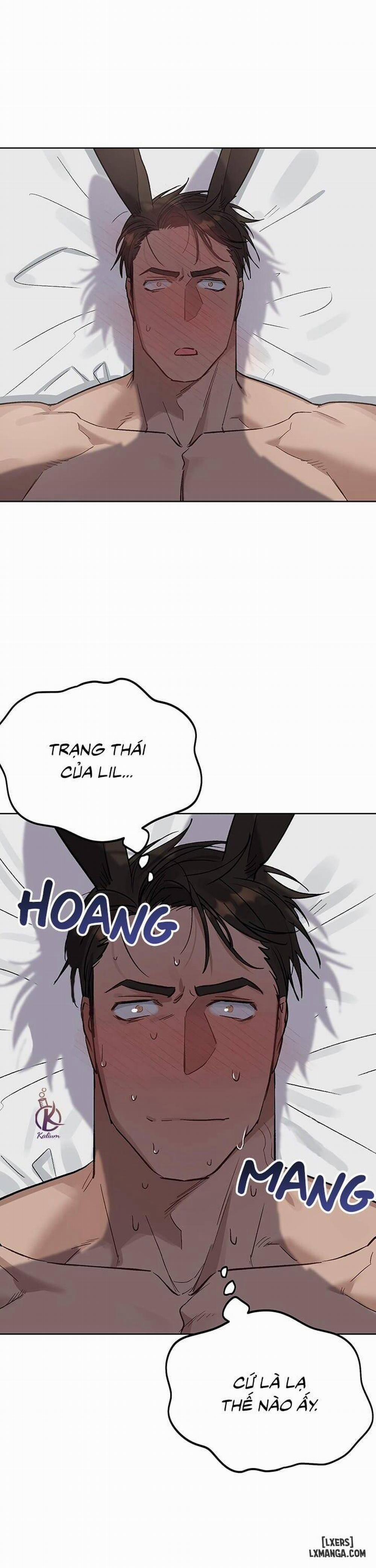 Thỏ 3 giây là bắn 4 trang 8