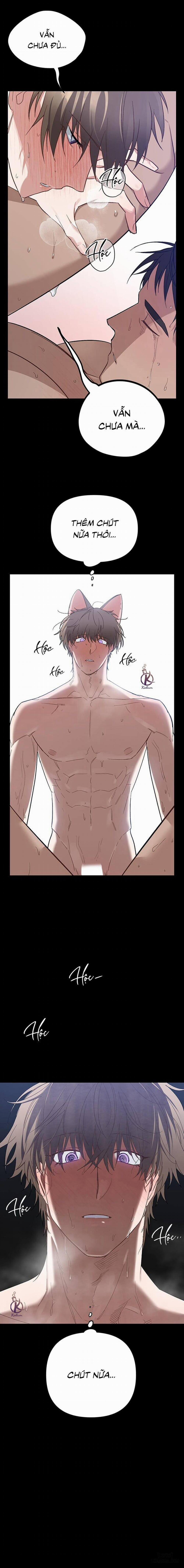 Thỏ 3 giây là bắn 5 trang 11