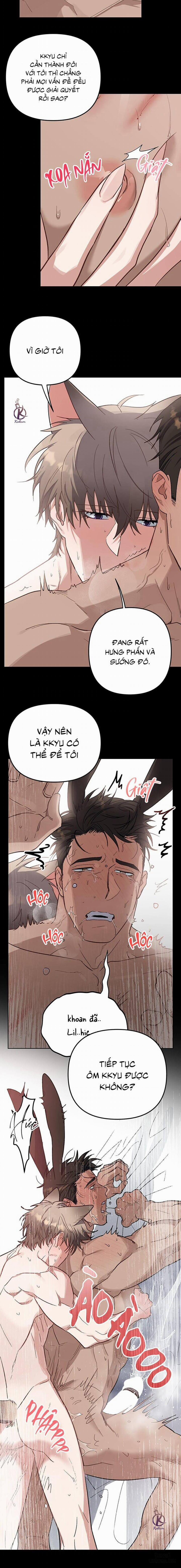 Thỏ 3 giây là bắn 5 trang 8