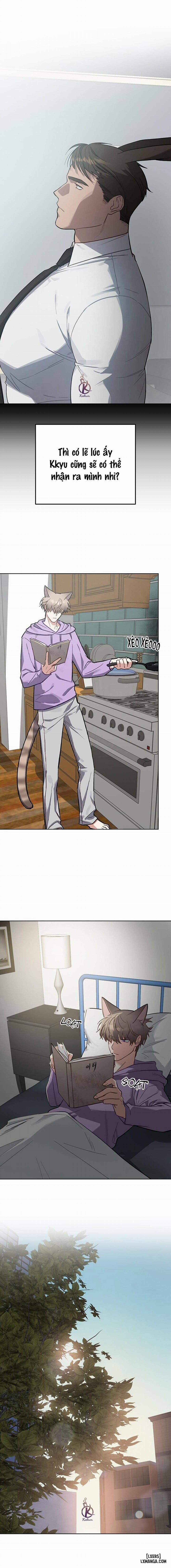 Thỏ 3 giây là bắn 6 trang 12