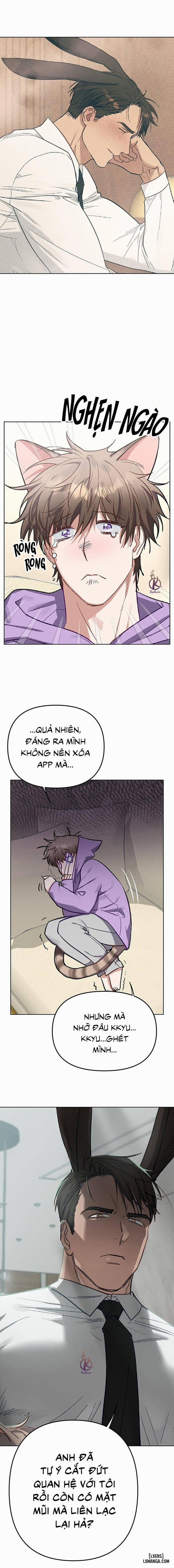 Thỏ 3 giây là bắn 6 trang 5