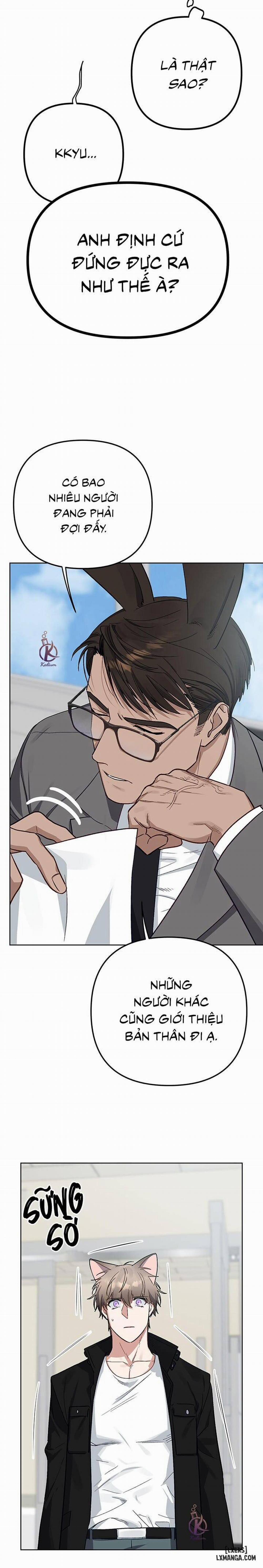 Thỏ 3 giây là bắn 7 trang 3