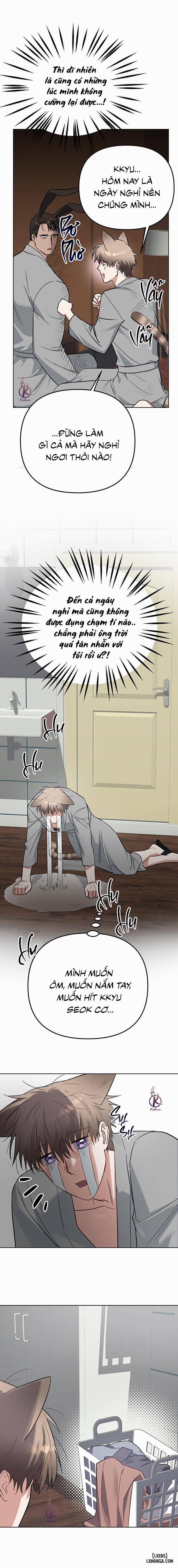 Thỏ 3 giây là bắn Ngoại truyện 3 trang 5