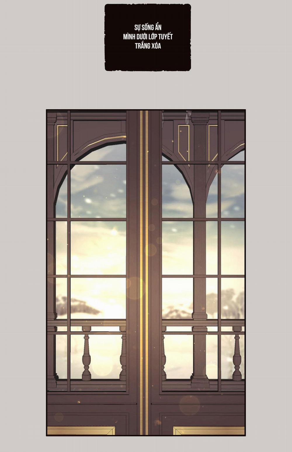 Thỏ Bắc Cực 1 trang 4