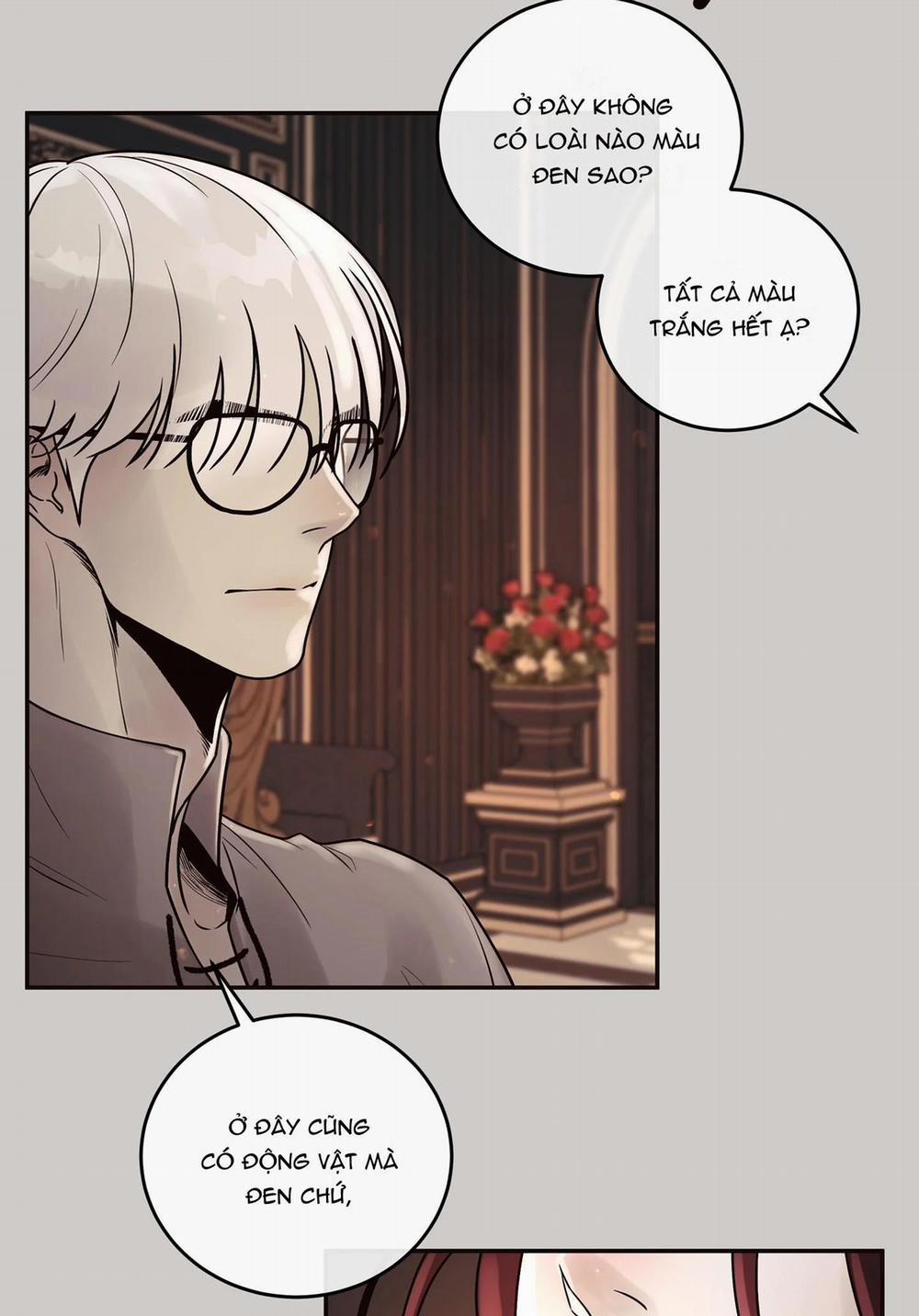 Thỏ Bắc Cực 5 trang 29