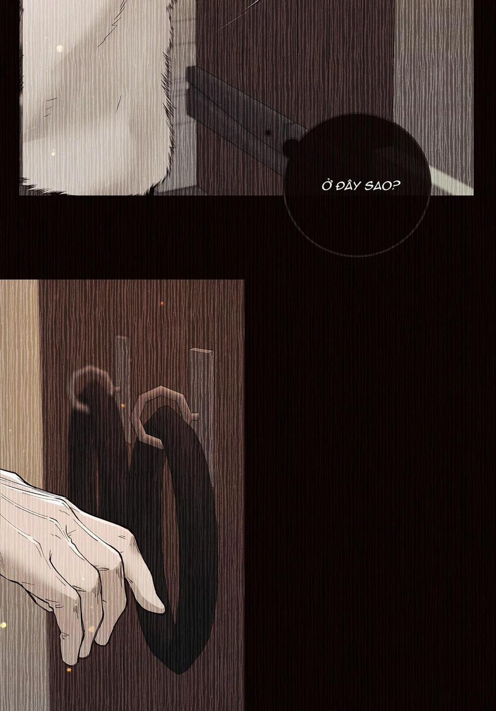 Thỏ Bắc Cực 6 trang 41