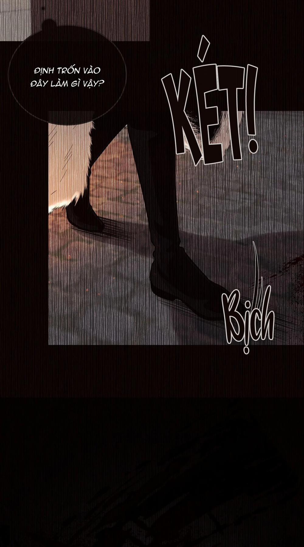 Thỏ Bắc Cực 6 trang 42