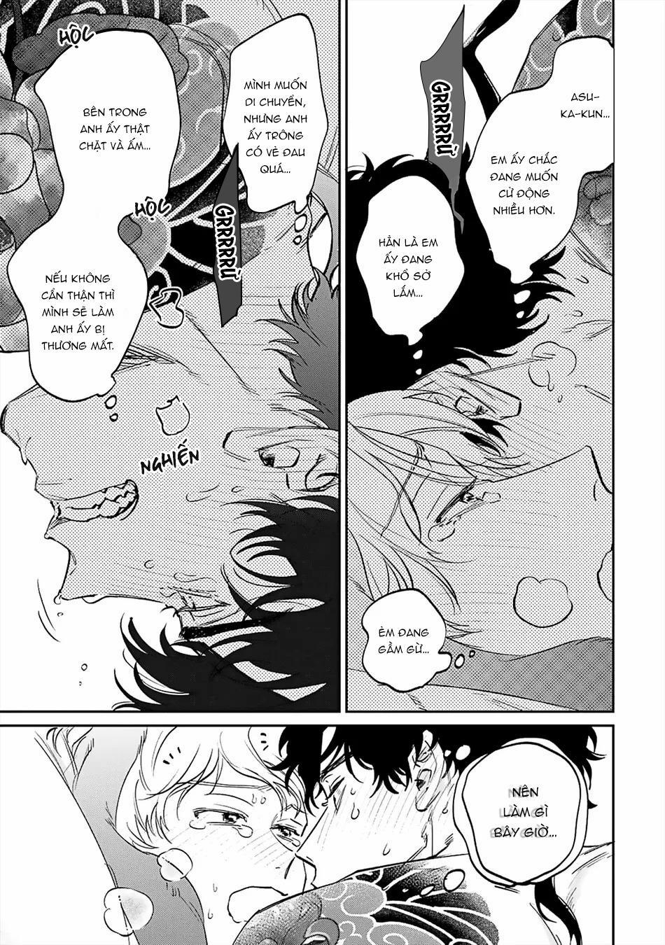 Thỏ cưng của Hổ siêu ngầu 6 trang 10