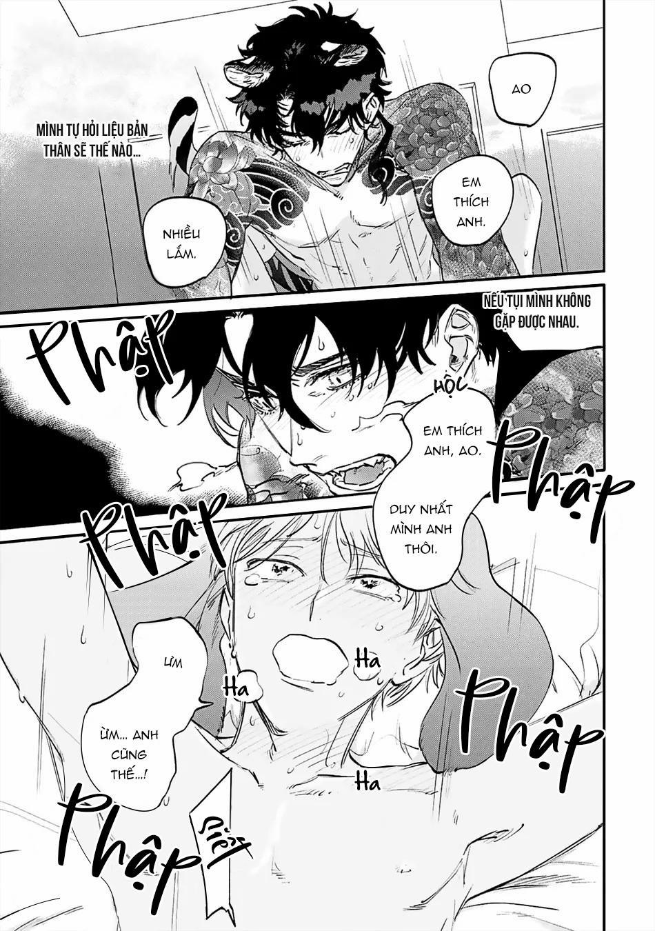 Thỏ cưng của Hổ siêu ngầu 6 trang 12