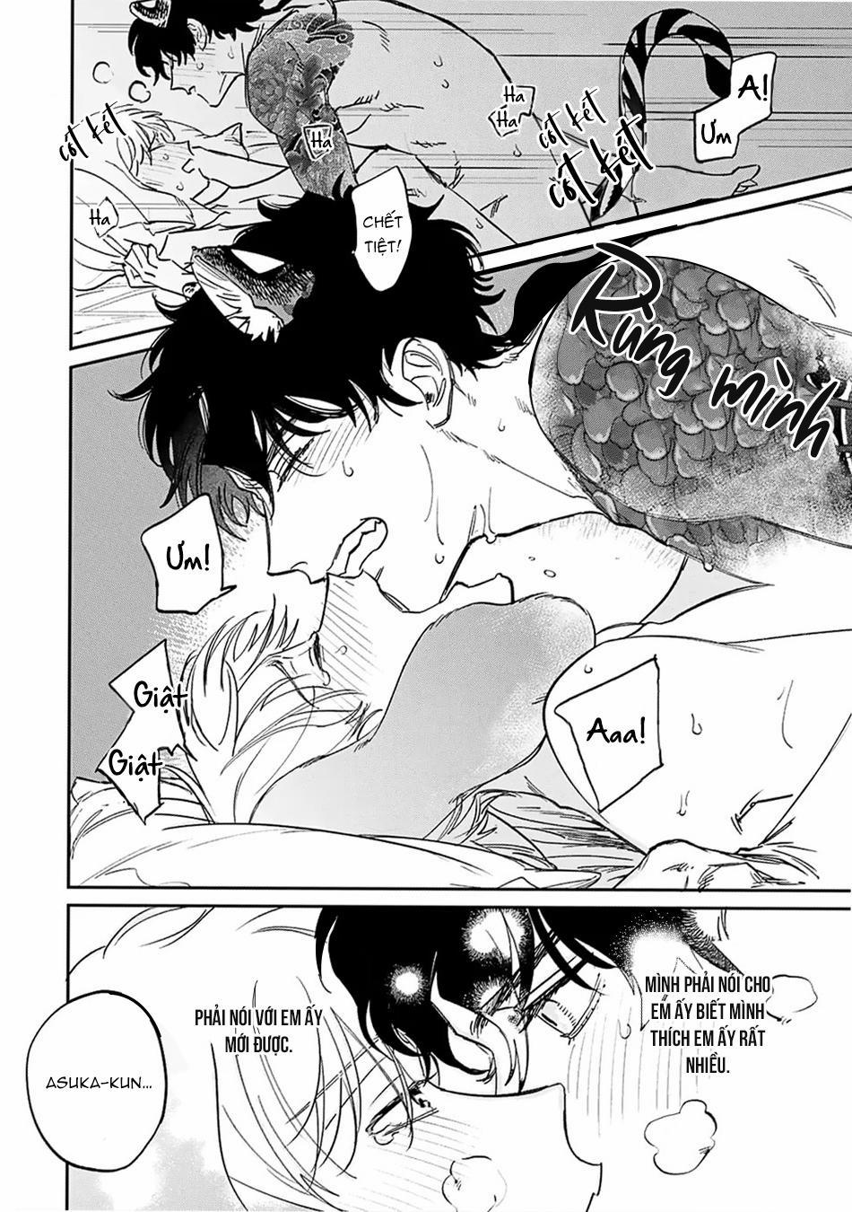 Thỏ cưng của Hổ siêu ngầu 6 trang 13