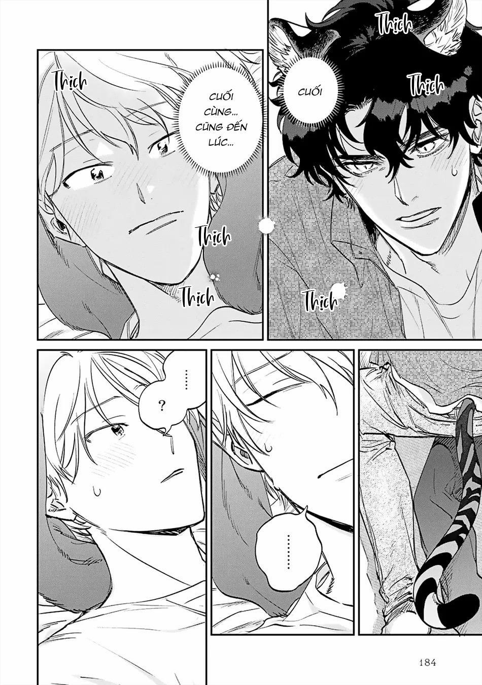 Thỏ cưng của Hổ siêu ngầu 6 trang 3