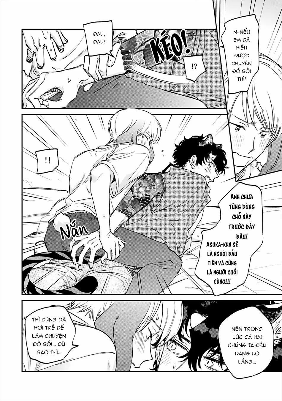 Thỏ cưng của Hổ siêu ngầu 6 trang 7