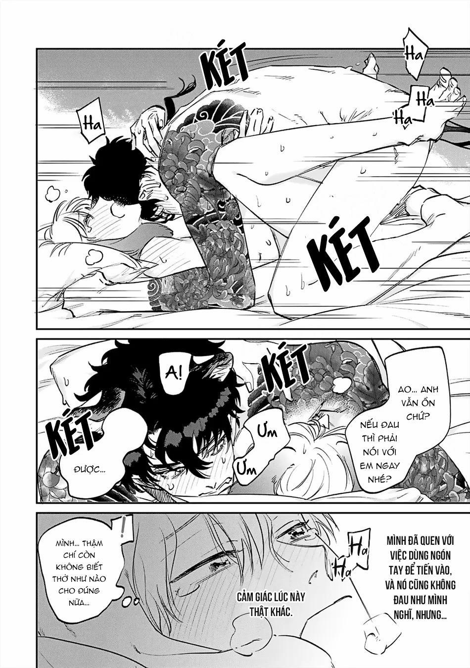 Thỏ cưng của Hổ siêu ngầu 6 trang 9
