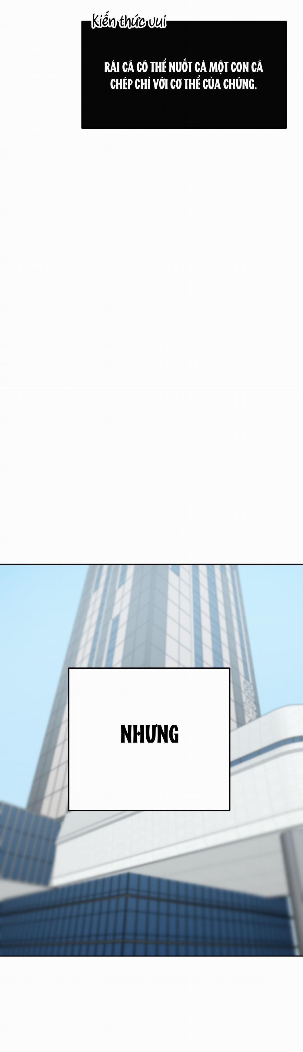 Thỏ Nhỏ Xuất Tinh Trong 3 Giây 1 trang 21