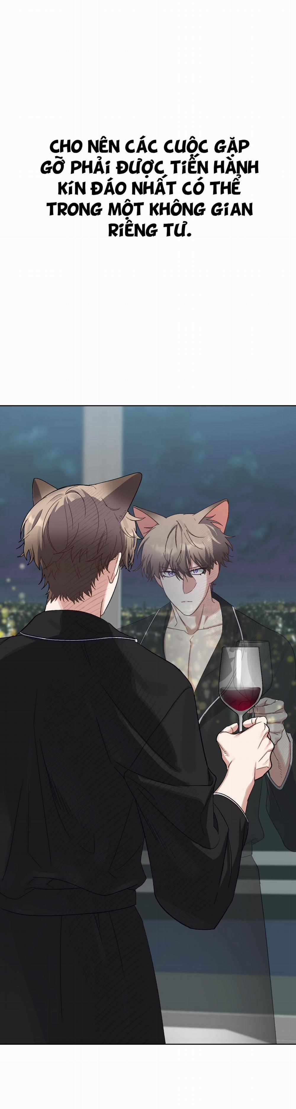 Thỏ Nhỏ Xuất Tinh Trong 3 Giây 1 trang 24