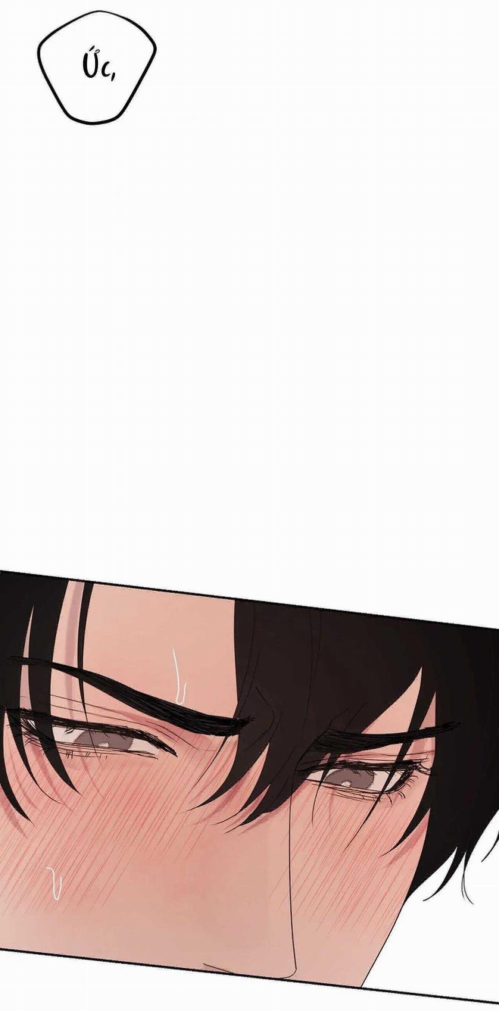 Thợ Săn Một Đêm 10 Lần 25 trang 29