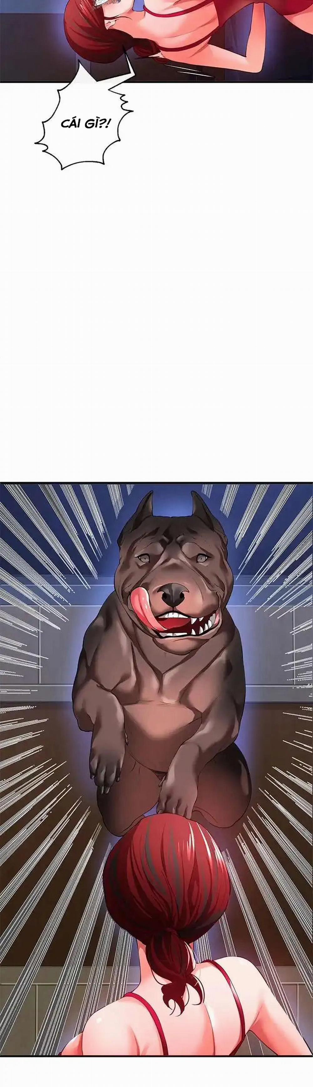 Thỏa Thuận Máu 26 trang 43