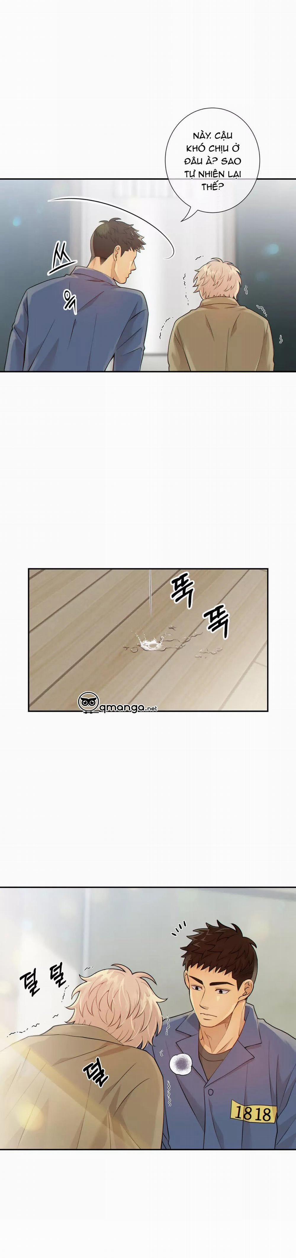 Thời gian giữa Sói và Chó 14 trang 2