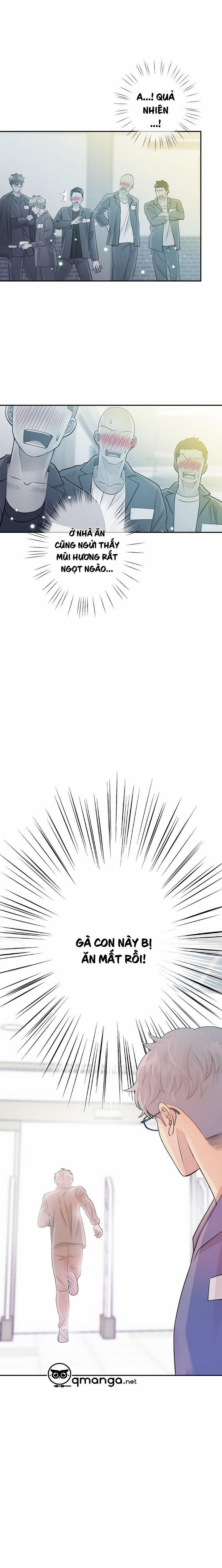 Thời gian giữa Sói và Chó 15 trang 8