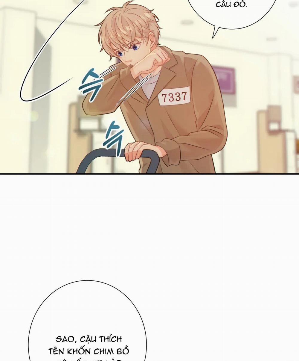 Thời gian giữa Sói và Chó 29 trang 94