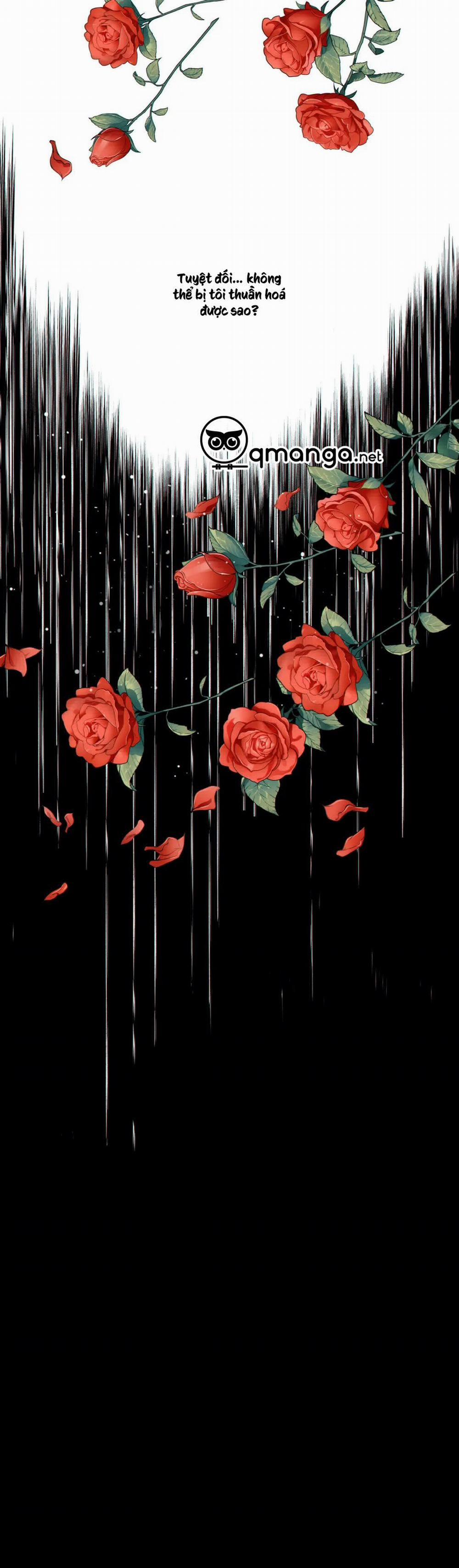 Thời gian giữa Sói và Chó 37 trang 31