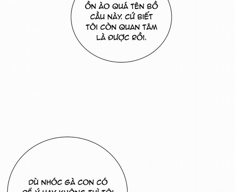 Thời gian giữa Sói và Chó 44 trang 7