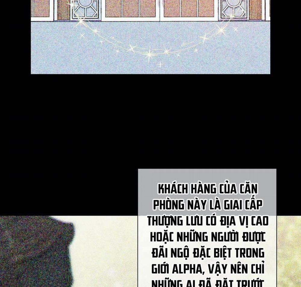 Thời gian giữa Sói và Chó 45 trang 7