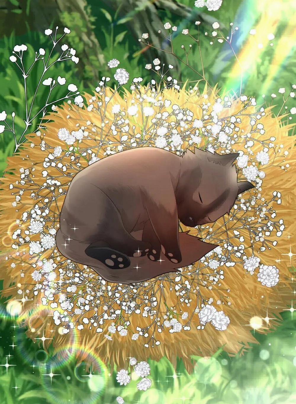 Thời gian giữa Sói và Chó 48 trang 58