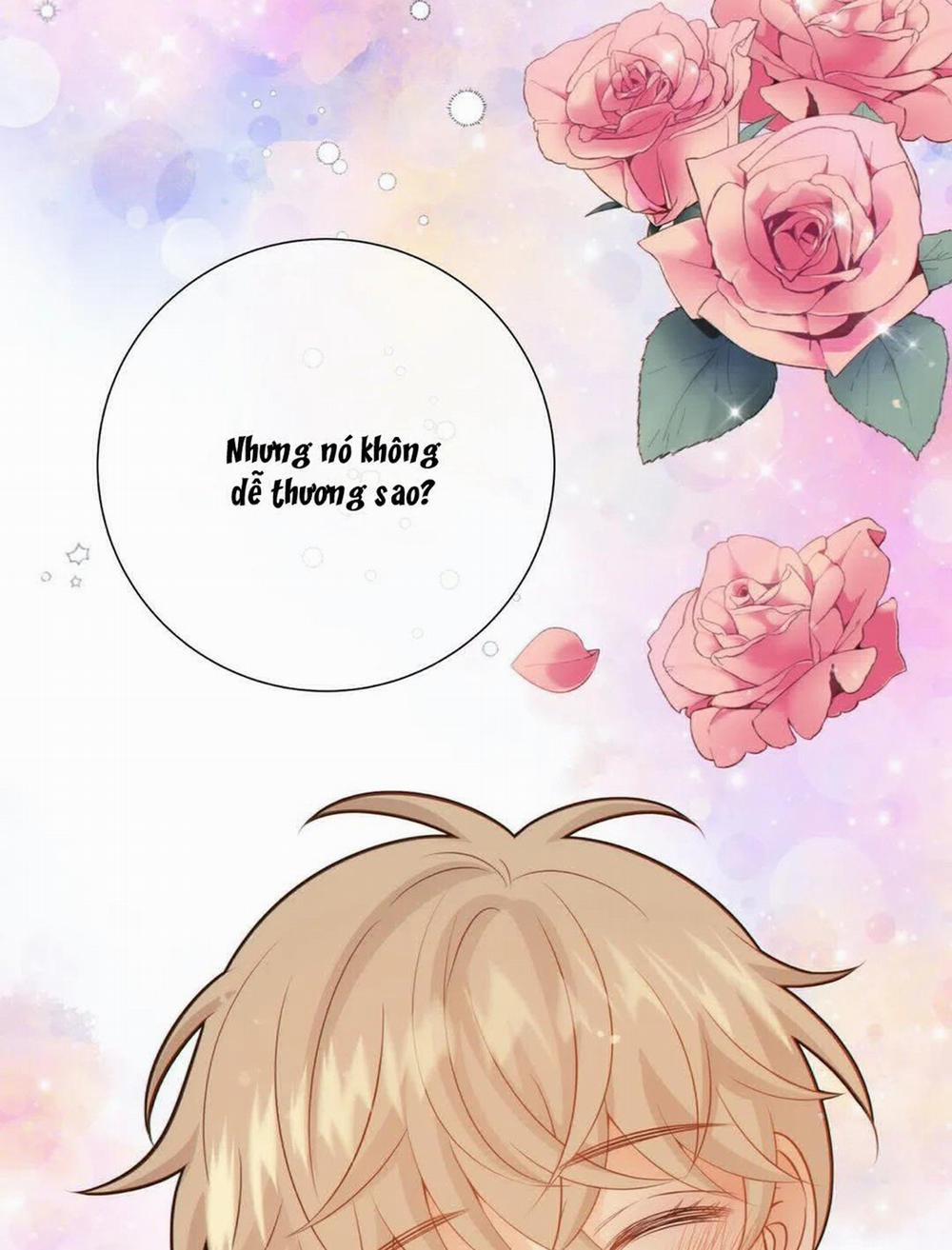 Thời gian giữa Sói và Chó 48 trang 62