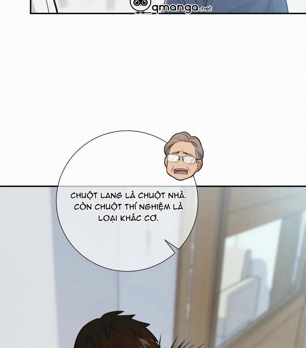 Thời gian giữa Sói và Chó 53 trang 47