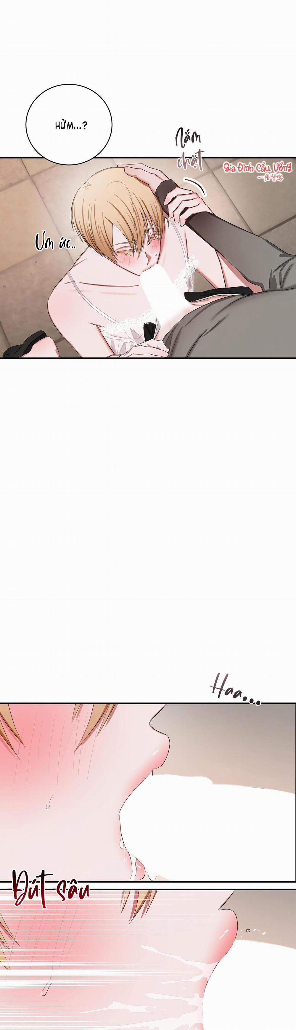 Thời Gian Hoàn Hảo Của Cô Tiểu Thư 11 trang 15