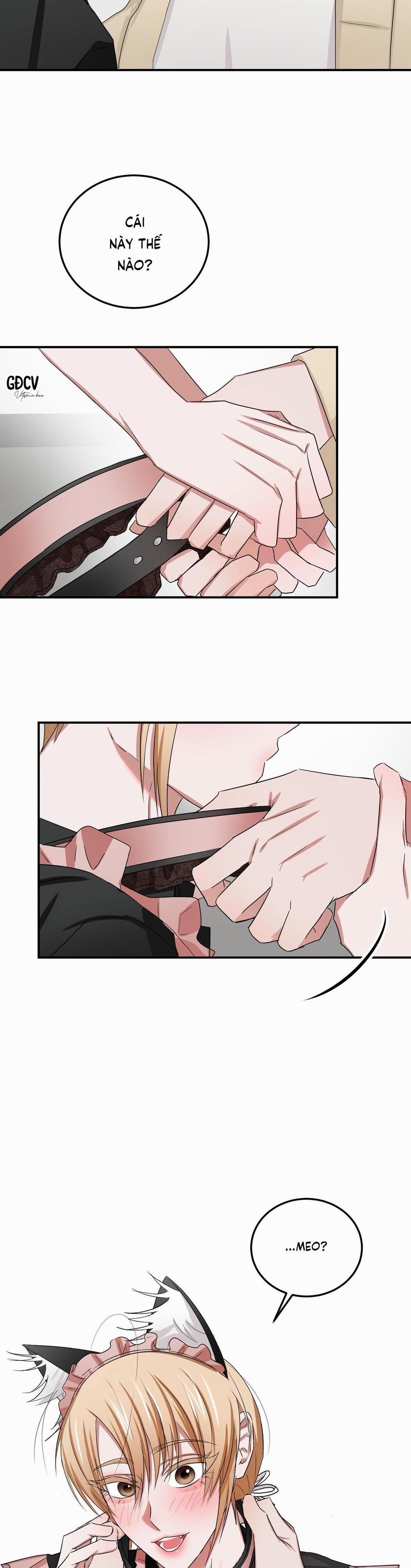 Thời Gian Hoàn Hảo Của Cô Tiểu Thư 16 trang 21