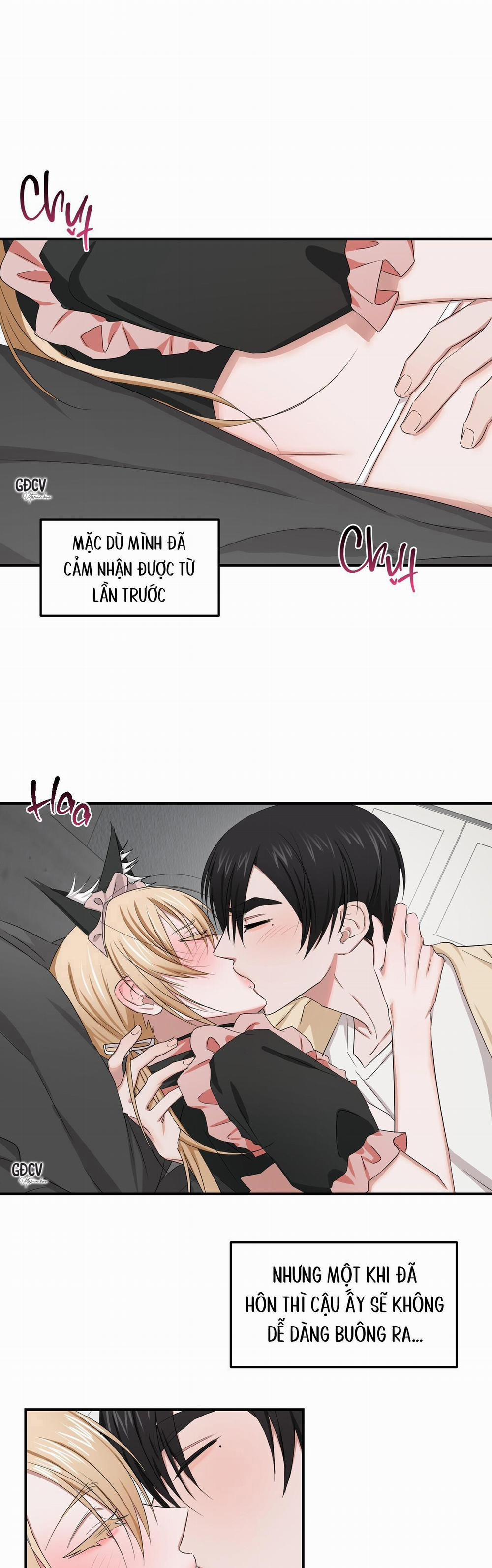 Thời Gian Hoàn Hảo Của Cô Tiểu Thư 17 trang 1