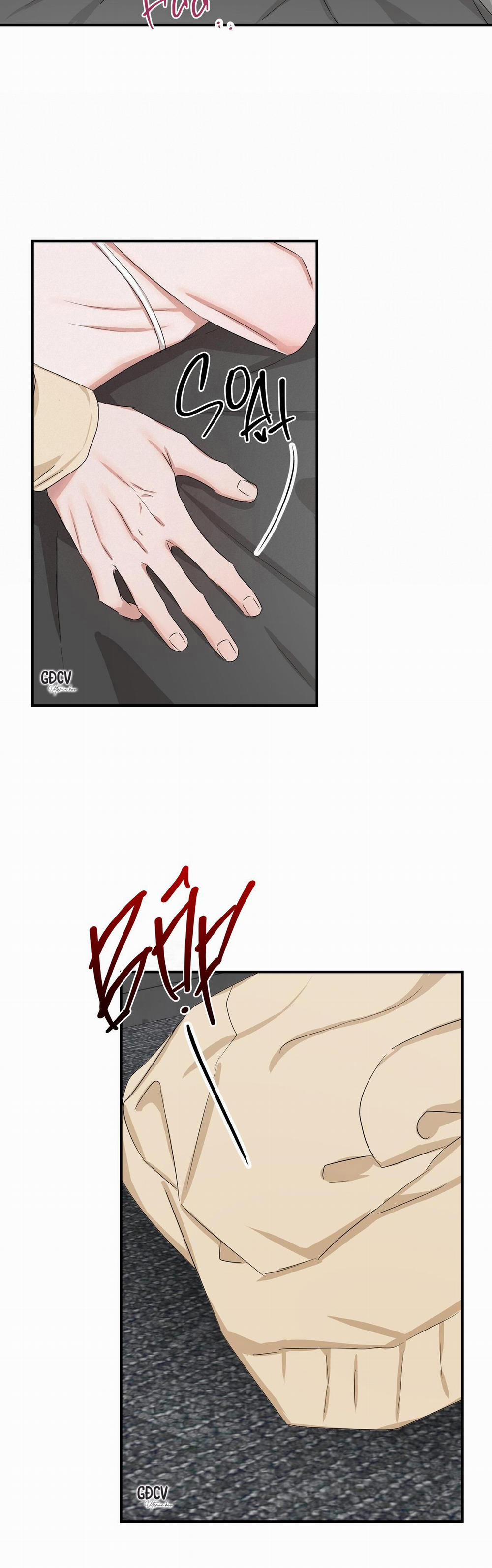 Thời Gian Hoàn Hảo Của Cô Tiểu Thư 17 trang 6