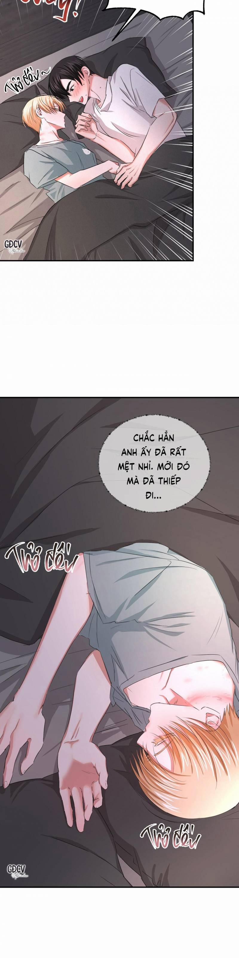 Thời Gian Hoàn Hảo Của Cô Tiểu Thư 19 trang 10