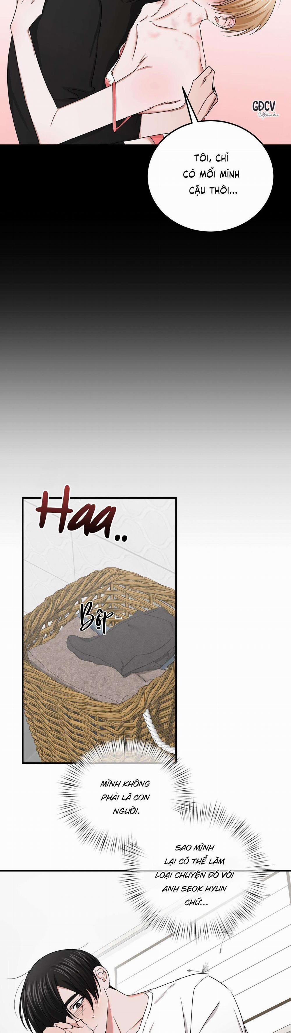 Thời Gian Hoàn Hảo Của Cô Tiểu Thư 20 trang 21