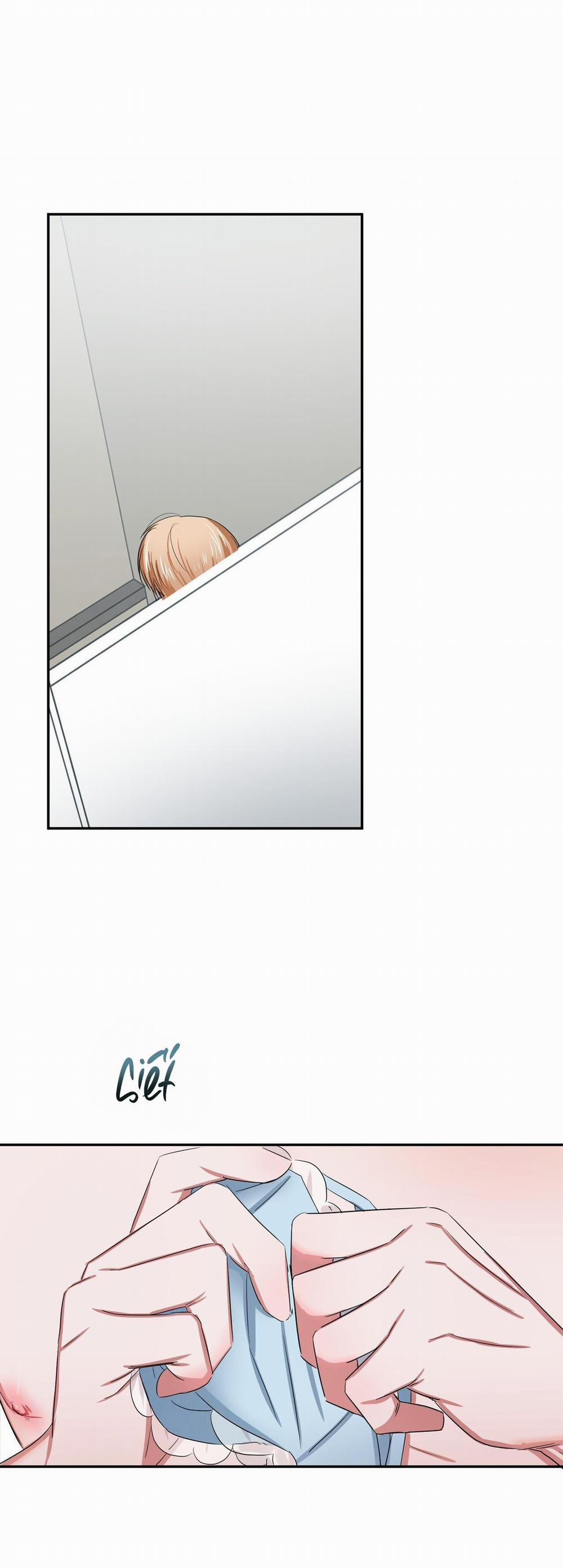 Thời Gian Hoàn Hảo Của Cô Tiểu Thư 8 trang 15