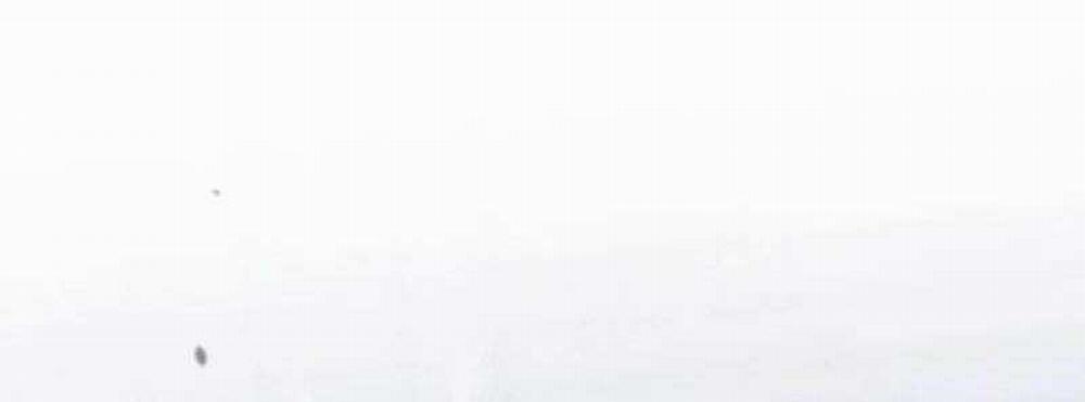 Thống Lĩnh Học Viện Chỉ Bằng Dao Sashimi 1 trang 444