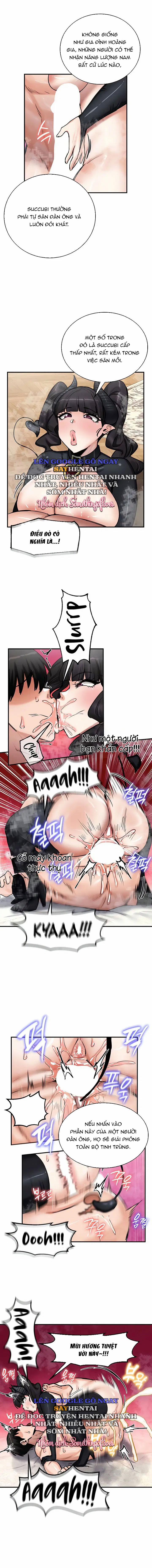 Thống Trị 66 trang 5