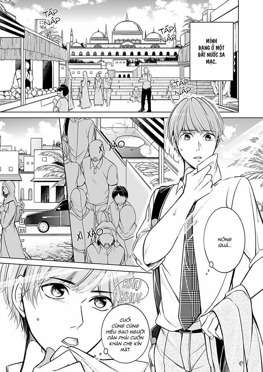 Thú Chơi Xa Xỉ Của Nhà Tài Phiệt Ả Rập 1 trang 2