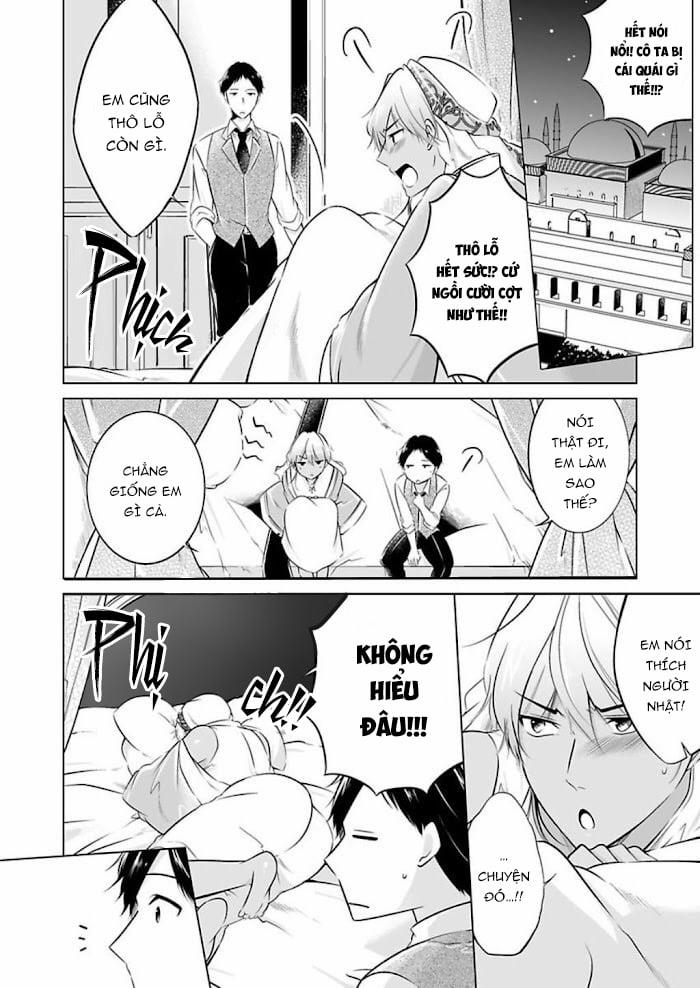 Thú Chơi Xa Xỉ Của Nhà Tài Phiệt Ả Rập 13 trang 13