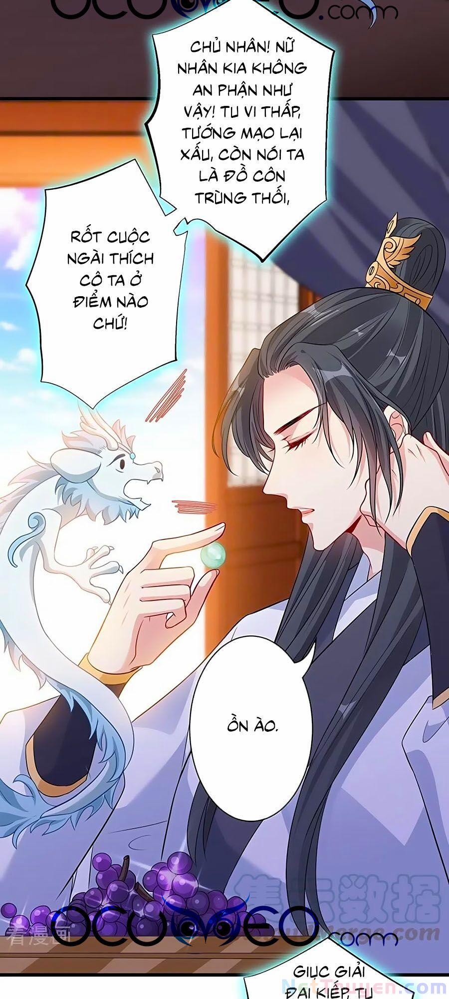 Thú Hắc Cuồng Phi 41 trang 29