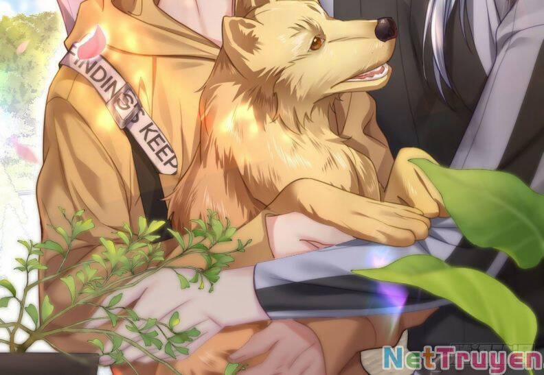 Thú Thụ Bất Thân 147 trang 35