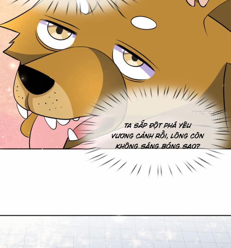 Thu Triệu Vạn Đồ Đệ, Vi Sư Vô Địch Thế Gian 43 trang 33